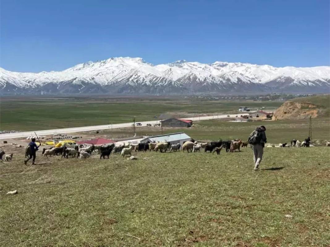 70 bin TL maaşı var ama çalışan bulunamıyor! Türk işçi yok, işçiyi İran'dan getirecekler 4
